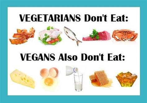 الفرق بين vegan و vegetarian
